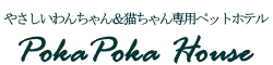 猫はこちら